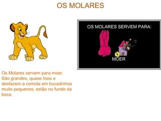 OS MOLARES
OS MOLARES SERVEM PARA:
MOER
Os Molares servem para moer.
São grandes, quase lisos e
desfazem a comida em bocadinhos
muito pequenos, estão no fundo da
boca.
 