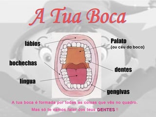 lábios Palato
(ou céu da boca)
bochechas
língua
dentes
gengivas
A tua boca é formada por todas as coisas que vês no quadro.
Mas só te vamos falar dos teus DENTESDENTES !!
 