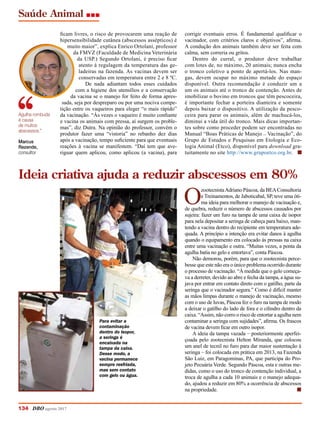 ficam livres, o risco de provocarem uma reação de
hipersensibilidade cutânea (abscessos assépticos) é
muito maior”, explica Enrico Ortolani, professor
da FMVZ (Faculdade de Medicina Veterinária
da USP.) Segundo Ortolani, é preciso ficar
atento à regulagem da temperatura das ge-
ladeiras na fazenda. As vacinas devem ser
conservadas em temperatura entre 2 e 8 ºC.
De nada adiantam todos esses cuidados
com a higiene dos utensílios e a conservação
da vacina se o manejo for feito de forma apres-
sada, seja por despreparo ou por uma nociva compe-
tição entre os vaqueiros para eleger “o mais rápido”
da vacinação. “Às vezes o vaqueiro é muito confiante
e vacina os animais com pressa, aí surgem os proble-
mas”, diz Dutra. Na opinião do professor, convém o
produtor fazer uma “vistoria” no rebanho dez dias
após a vacinação, tempo suficiente para que eventuais
reações à vacina se manifestem. “Daí tem que ave-
riguar quem aplicou, como aplicou (a vacina), para
O
zootecnistaAdriano Páscoa, da BEAConsultoria
e Treinamentos, de Jaboticabal, SP, teve uma óti-
ma ideia para melhorar o manejo de vacinação e,
de quebra, reduzir o número de abscessos causados por
sujeira: fazer um furo na tampa de uma caixa de isopor
para nela depositar a seringa de cabeça para baixo, man-
tendo a vacina dentro do recipiente em temperatura ade-
quada. A princípio a intenção era evitar danos à agulha
quando o equipamento era colocado às pressas na caixa
entre uma vacinação e outra. “Muitas vezes, a ponta da
agulha batia no gelo e entortava”, conta Páscoa.
Não demorou, porém, para que o zootecnista perce-
besse que este não era o único problema ocorrido durante
o processo de vacinação. “À medida que o gelo começa-
va a derreter, devido ao abre e fecha da tampa, a água su-
java por entrar em contato direto com o gatilho, parte da
seringa que o vacinador segura.” Como é difícil manter
as mãos limpas durante o manejo de vacinação, mesmo
com o uso de luvas, Páscoa fez o furo na tampa de modo
a deixar o gatilho do lado de fora e o cilindro dentro da
caixa. “Assim, não corro o risco de entortar a agulha nem
contaminar a seringa com sujidades”, afirma. Os frascos
de vacina devem ficar em outro isopor.
A ideia da tampa vazada
_
posteriormente aperfei-
çoada pelo zootecnista Helton Miranda, que colocou
um anel de tecnil no furo para dar maior sustentação à
seringa
_
foi colocada em prática em 2013, na Fazenda
São Luiz, em Paragominas, PA, que participa do Pro-
jeto Pecuária Verde. Segundo Páscoa, esta e outras me-
didas, como o uso do tronco de contenção individual, a
troca de agulha a cada 10 animais e o manejo adequa-
do, ajudou a reduzir em 80% a ocorrência de abscessos
na propriedade. n
Ideia criativa ajuda a reduzir abscessos em 80%
Para evitar a
contaminação
dentro do isopor,
a seringa é
encaixada na
tampa da caixa.
Desse modo, a
vacina permanece
sempre resfriada,
mas sem contato
com gelo ou água.
corrigir eventuais erros. É fundamental qualificar o
vacinador, com critérios claros e objetivos”, afirma.
A condução dos animais também deve ser feita com
calma, sem correria ou gritos.
Dentro do curral, o produtor deve trabalhar
com lotes de, no máximo, 20 animais; nunca encha
o tronco coletivo a ponto de apertá-los. Nas man-
gas, devem ocupar no máximo metade do espaço
disponível. Outra recomendação é conduzir um a
um os animais até o tronco de contenção. Antes de
imobilizar o bovino em troncos que têm pescoceira,
é importante fechar a porteira dianteira e somente
depois baixar o dispositivo. A utilização da pesco-
ceira para parar os animais, além de machucá-los,
diminui a vida útil do tronco. Mais dicas importan-
tes sobre como proceder podem ser encontradas no
Manual “Boas Práticas de Manejo _ Vacinação”, do
Grupo de Estudos e Pesquisas em Etologia e Eco-
logia Animal (Etco), disponível para download gra-
tuitamente no site http://www.grupoetco.org.br. n
Agulha rombuda
é causa
de muitos
abscessos.”
Marcus
Rezende,
consultor
Saúde Animal
134 DBO agosto 2017
 