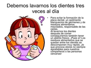 Debemos lavarnos los dientes tres veces al día Para evitar la formación de la placa dental, un sedimento blanquecino de gérmenes y de residuos alimentarios mezclados, responsable de las caries. Al lavarnos los dientes después de comer conseguiremos también tener un aliento fresco. ¡Pues sí! Los residuos alimentarios que se quedan entre los dientes se descomponen muy rápido, ¡lo que provoca olores no siempre agradables para nuestros compañeros o las personas cercanas!  