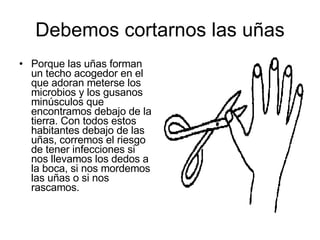 Debemos cortarnos las uñas Porque las uñas forman un techo acogedor en el que adoran meterse los microbios y los gusanos minúsculos que encontramos debajo de la tierra. Con todos estos habitantes debajo de las uñas, corremos el riesgo de tener infecciones si nos llevamos los dedos a la boca, si nos mordemos las uñas o si nos rascamos.  