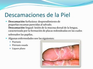Descamaciones de la Piel
 Descamación furfurácea: desprendimiento de
  pequeñas escamas parecidas al salvado.
  Descamación lingual: lesión de la mucosa dorsal de la lengua,
  caracterizada por la formación de placas redondeadas en las cuales
  sobresalen las papilas.
 Algunas enfermedades son las siguientes:
    Psoriasis
    Pitiriasis rosada
    Liquen plano
 
