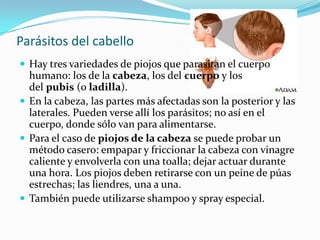 Parásitos del cabello
 Hay tres variedades de piojos que parasitan el cuerpo
  humano: los de la cabeza, los del cuerpo y los
  del pubis (o ladilla).
 En la cabeza, las partes más afectadas son la posterior y las
  laterales. Pueden verse allí los parásitos; no así en el
  cuerpo, donde sólo van para alimentarse.
 Para el caso de piojos de la cabeza se puede probar un
  método casero: empapar y friccionar la cabeza con vinagre
  caliente y envolverla con una toalla; dejar actuar durante
  una hora. Los piojos deben retirarse con un peine de púas
  estrechas; las liendres, una a una.
 También puede utilizarse shampoo y spray especial.
 