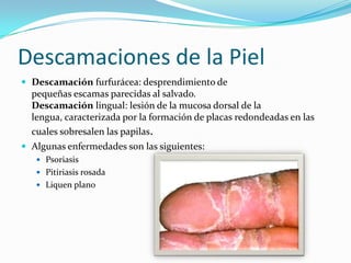Descamaciones de la Piel
 Descamación furfurácea: desprendimiento de
  pequeñas escamas parecidas al salvado.
  Descamación lingual: lesión de la mucosa dorsal de la
  lengua, caracterizada por la formación de placas redondeadas en las
  cuales sobresalen las papilas.
 Algunas enfermedades son las siguientes:
    Psoriasis
    Pitiriasis rosada
    Liquen plano
 