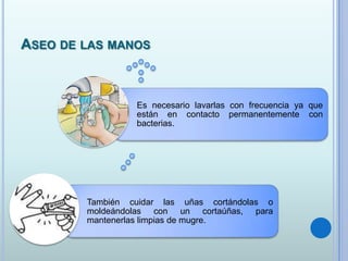 ASEO DE LAS MANOS
También cuidar las uñas cortándolas o
moldeándolas con un cortaúñas, para
mantenerlas limpias de mugre.
Es necesario lavarlas con frecuencia ya que
están en contacto permanentemente con
bacterias.
 