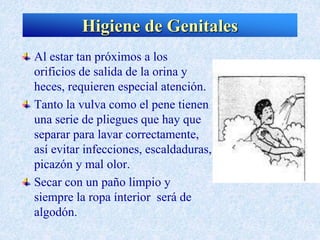 Al estar tan próximos a los
orificios de salida de la orina y
heces, requieren especial atención.
Tanto la vulva como el pene tienen
una serie de pliegues que hay que
separar para lavar correctamente,
así evitar infecciones, escaldaduras,
picazón y mal olor.
Secar con un paño limpio y
siempre la ropa ínterior será de
algodón.
Higiene de Genitales
 