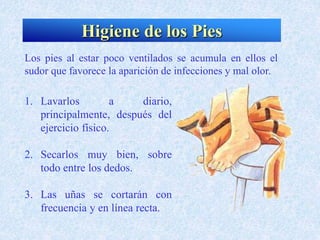 1. Lavarlos a diario,
principalmente, después del
ejercicio físico.
2. Secarlos muy bien, sobre
todo entre los dedos.
3. Las uñas se cortarán con
frecuencia y en línea recta.
Los pies al estar poco ventilados se acumula en ellos el
sudor que favorece la aparición de infecciones y mal olor.
Higiene de los Pies
 