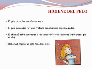 HIGIENE DEL PELO
 El pelo debe lavarse diariamente.
 El pelo con caspa hay que tratarlo con champús especializados.
 El champú debe adecuarse a las características capilares (Pelo graso= ph
ácido)
 Debemos cepillar el pelo todos los días.

 