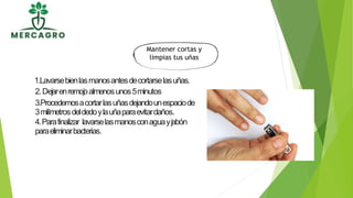 1.Lavarsebienlasmanosantesdecortarselasuñas.
2.Dejarenremojoalmenosunos5minutos
3.Procedemosacortarlasuñasdejandounespaciode
3milímetrosdeldedoylauñaparaevitardaños.
4.Parafinalizar lavarselasmanosconaguayjabón
paraeliminarbacterias.
Mantener cortas y
limpias tus uñas
 