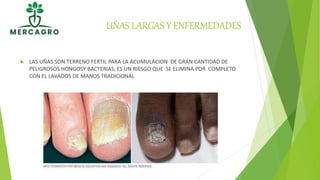 UÑAS LARGAS Y ENFERMEDADES
 LAS UÑAS SON TERRENO FERTIL PARA LA ACUMULACION DE GRAN CANTIDAD DE
PELIGROSOS HONGOSY BACTERIAS, ES UN RIESGO QUE SE ELIMINA POR COMPLETO
CON EL LAVADOS DE MANOS TRADICIONAL
 