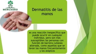 Dermatitis de las
manos
es una reacción inespecífica que
puede ocurrir en cualquier
individuo, pero son más
susceptibles las personas con
función de barrera cutánea
alterada, como aquellas que se
lavan las manos frecuentemente
y los atópicos
 