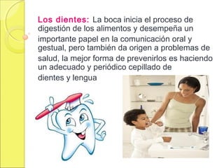 Los dientes: La boca inicia el proceso de
digestión de los alimentos y desempeña un
importante papel en la comunicación oral y
gestual, pero también da origen a problemas de
salud, la mejor forma de prevenirlos es haciendo
un adecuado y periódico cepillado de
dientes y lengua
 
