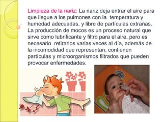 Limpieza de la nariz: La nariz deja entrar el aire para
que llegue a los pulmones con la temperatura y
humedad adecuadas, y libre de partículas extrañas.
La producción de mocos es un proceso natural que
sirve como lubrificante y filtro para el aire, pero es
necesario retirarlos varias veces al día, además de
la incomodidad que representan, contienen
partículas y microorganismos filtrados que pueden
provocar enfermedades.
 