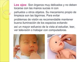 Los ojos: Son órganos muy delicados y no deben
tocarse con las manos sucias ni con
pañuelos u otros objetos. Su mecanismo propio de
limpieza son las lágrimas. Para evitar
problemas de visión es recomendable mantener
buena iluminación de los espacios evitando
así un mayor esfuerzo de la vista al estudiar, leer,
ver televisión o trabajar con computadoras.
 