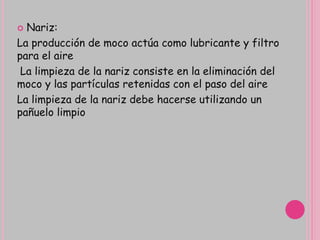  Nariz:
La producción de moco actúa como lubricante y filtro
para el aire
La limpieza de la nariz consiste en la eliminación del
moco y las partículas retenidas con el paso del aire
La limpieza de la nariz debe hacerse utilizando un
pañuelo limpio
 