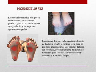 HIGIENEDE LOS PIES
Lavar diariamente los pies por la
sudoración excesiva que se
produce, para no producir un olor
desagradable, y para que no
aparezcan ampollas
Las uñas de los pies deben cortarse después
de la ducha o baño y en línea recta para no
producir encarnaduras. Los zapatos deberán
ser cómodos, preferentemente de materiales
naturales, para facilitar la transpiración y
adecuados al tamaño del pie
 