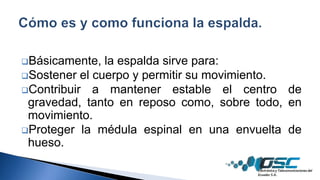 Básicamente, la espalda sirve para:
Sostener el cuerpo y permitir su movimiento.
Contribuir a mantener estable el centro de
gravedad, tanto en reposo como, sobre todo, en
movimiento.
Proteger la médula espinal en una envuelta de
hueso.
 