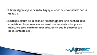  Elevar algún objeto pesado, hay que tener mucho cuidado con la
espalda.
 La musculatura de la espalda se encarga del tono postural (que
consiste en las contracciones involuntarias realizadas por los
músculos para mantener una postura sin que la persona sea
consciente de ello).
 