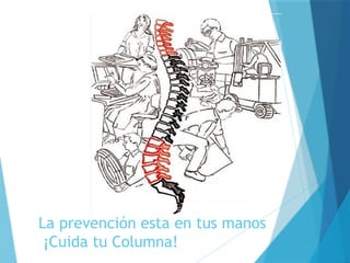 Guía Completa de Higiene Postural para Cuidar la Columna Vertebral | PPTX