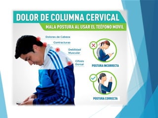 Guía Completa de Higiene Postural para Cuidar la Columna Vertebral | PPTX