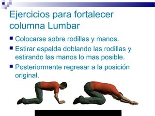 Autor: Rafael Pineda – Descarga ofrecida por: www.prevention-world.com
Ejercicios para fortalecer
columna Lumbar
 Colocarse sobre rodillas y manos.
 Estirar espalda doblando las rodillas y
estirando las manos lo mas posible.
 Posteriormente regresar a la posición
original.
 