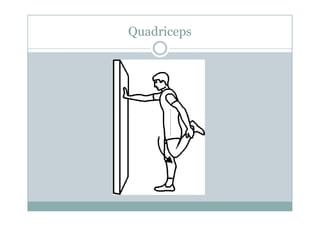 Quadriceps
 