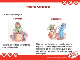 Posturas Adecuadas
Al levantar un objeto
Correcto Incorrecto
Flexione las rodillas y mantenga
la espalda derecha
Cuando se levanta un objeto con la
espalda doblada, el peso que se levanta
realmente es mucho mayor que el peso
del objeto; mayormente esto produce
lumbalgias.
 
