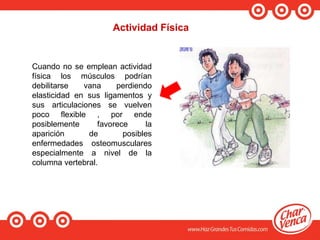 Actividad Física
Cuando no se emplean actividad
física los músculos podrían
debilitarse vana perdiendo
elasticidad en sus ligamentos y
sus articulaciones se vuelven
poco flexible , por ende
posiblemente favorece la
aparición de posibles
enfermedades osteomusculares
especialmente a nivel de la
columna vertebral.
 