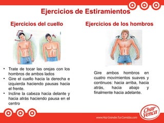 Ejercicios del cuello Ejercicios de los hombros
• Trate de tocar las orejas con los
hombros de ambos lados
• Gire el cuello hacia la derecha e
izquierda haciendo pausas hacia
el frente.
• Incline la cabeza hacia delante y
hacia atrás haciendo pausa en el
centro
Gire ambos hombros en
cuatro movimientos suaves y
continuos: hacia arriba, hacia
atrás, hacia abajo y
finalmente hacia adelante.
 