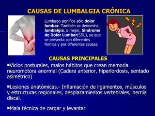 CAUSAS DE LUMBALGIA CRÓNICA CAUSAS PRINCIPALES Vicios posturales, malos hábitos que crean memoria neuromotora anormal (Cadera anterior, hiperlordosis, sentado asimétrico) Lesiones anatómicas.- Inflamación de ligamentos, músculos y estructuras regionales, desplazamientos vertebrales, hernia discal. Mala técnica de cargar y levantar Lumbago significa sólo  dolor lumbar . También se denomina  lumbalgia , o mejor,  Síndrome de Dolor Lumbar (SDL), ya que se presenta con diferentes formas y por diferentes causas. 