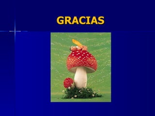 GRACIAS 