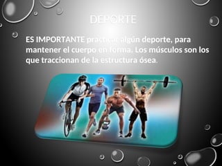 DEPORTE
ES IMPORTANTE practicar algún deporte, para
mantener el cuerpo en forma. Los músculos son los
que traccionan de la estructura ósea.
 