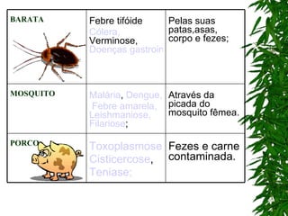 BARATA Febre tifóide Cólera,  Verminose,  Doenças gastrointestinais Pelas suas patas,asas, corpo e fezes; MOSQUITO Malária ,  Dengue, Febre amarela,   Leishmaniose,   Filariose ; Através da picada do mosquito fêmea. PORCO Toxoplasmose Cisticercose , Teniase; Fezes e carne contaminada. 