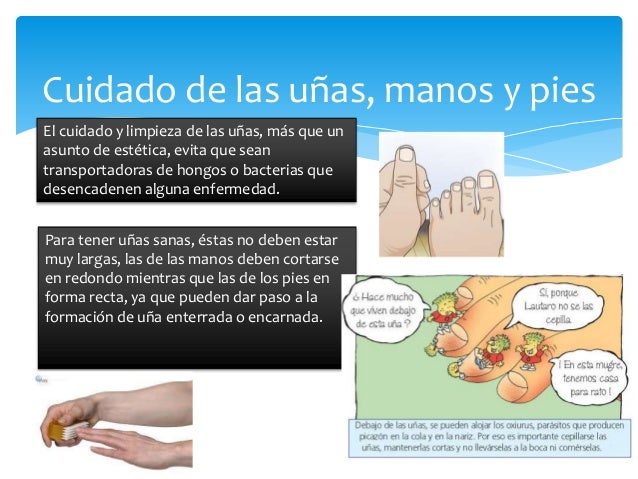 Que sanar el hongo de las uñas sobre los dedos de las manos