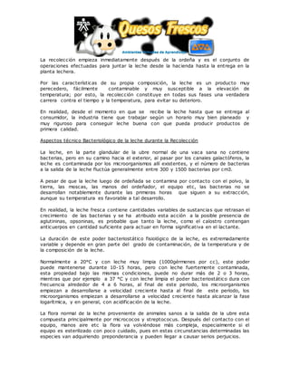 La recolección empieza inmediatamente después de la ordeña y es el conjunto de
operaciones efectuadas para juntar la leche desde la hacienda hasta la entrega en la
planta lechera.
Por las características de su propia composición, la leche es un producto muy
perecedero, fácilmente contaminable y muy susceptible a la elevación de
temperatura; por esto, la recolección constituye en todas sus fases una verdadera
carrera contra el tiempo y la temperatura, para evitar su deterioro.
En realidad, desde el momento en que se recibe la leche hasta que se entrega al
consumidor, la industria tiene que trabajar según un horario muy bien planeado y
muy riguroso para conseguir leche buena con que pueda producir productos de
primera calidad.
Aspectos técnico Bacteriológico de la leche durante la Recolección
La leche, en la parte glandular de la ubre normal de una vaca sana no contiene
bacterias, pero en su camino hacia el exterior, al pasar por los canales galactóferos, la
leche es contaminada por los microorganismos allí existentes, y el número de bacterias
a la salida de la leche fluctúa generalmente entre 300 y 1500 bacterias por cm3.
A pesar de que la leche luego de ordeñada se contamina por contacto con el polvo, la
tierra, las moscas, las manos del ordeñador, el equipo etc, las bacterias no se
desarrollan notablemente durante las primeras horas que siguen a su extracción,
aunque su temperatura es favorable a tal desarrollo.
En realidad, la leche fresca contiene cantidades variables de sustancias que retrasan el
crecimiento de las bacterias y se ha atribuido esta acción a la posible presencia de
aglutininas, opsoninas, es probable que tanto la leche, como el calostro contengan
anticuerpos en cantidad suficiente para actuar en forma significativa en el lactante.
La duración de este poder bacteriostático fisiológico de la leche, es extremadamente
variable y depende en gran parte del grado de contaminación, de la temperatura y de
la composición de la leche.
Normalmente a 20°C y con leche muy limpia (1000gérmenes por cc), este poder
puede mantenerse durante 10-15 horas, pero con leche fuertemente contaminada,
esta propiedad bajo las mismas condiciones, puede no durar más de 2 o 3 horas,
mientras que por ejemplo a 37 °C y con leche limpia el poder bacteriostático dura con
frecuencia alrededor de 4 a 6 horas, al final de este periodo, los microorganismos
empiezan a desarrollarse a velocidad creciente hasta al final de este período, los
microorganismos empiezan a desarrollarse a velocidad crecient e hasta alcanzar la fase
logarítmica, y en general, con acidificación de la leche.
La flora normal de la leche proveniente de animales sanos a la salida de la ubre esta
compuesta principalmente por micrococos y streptococus. Después del contacto con el
equipo, manos aire etc la flora va volviéndose más compleja, especialmente si el
equipo es esterilizado con poco cuidado, pues en estas circunstancias determinadas las
especies van adquiriendo preponderancia y pueden llegar a causar serios perjuicios.
 