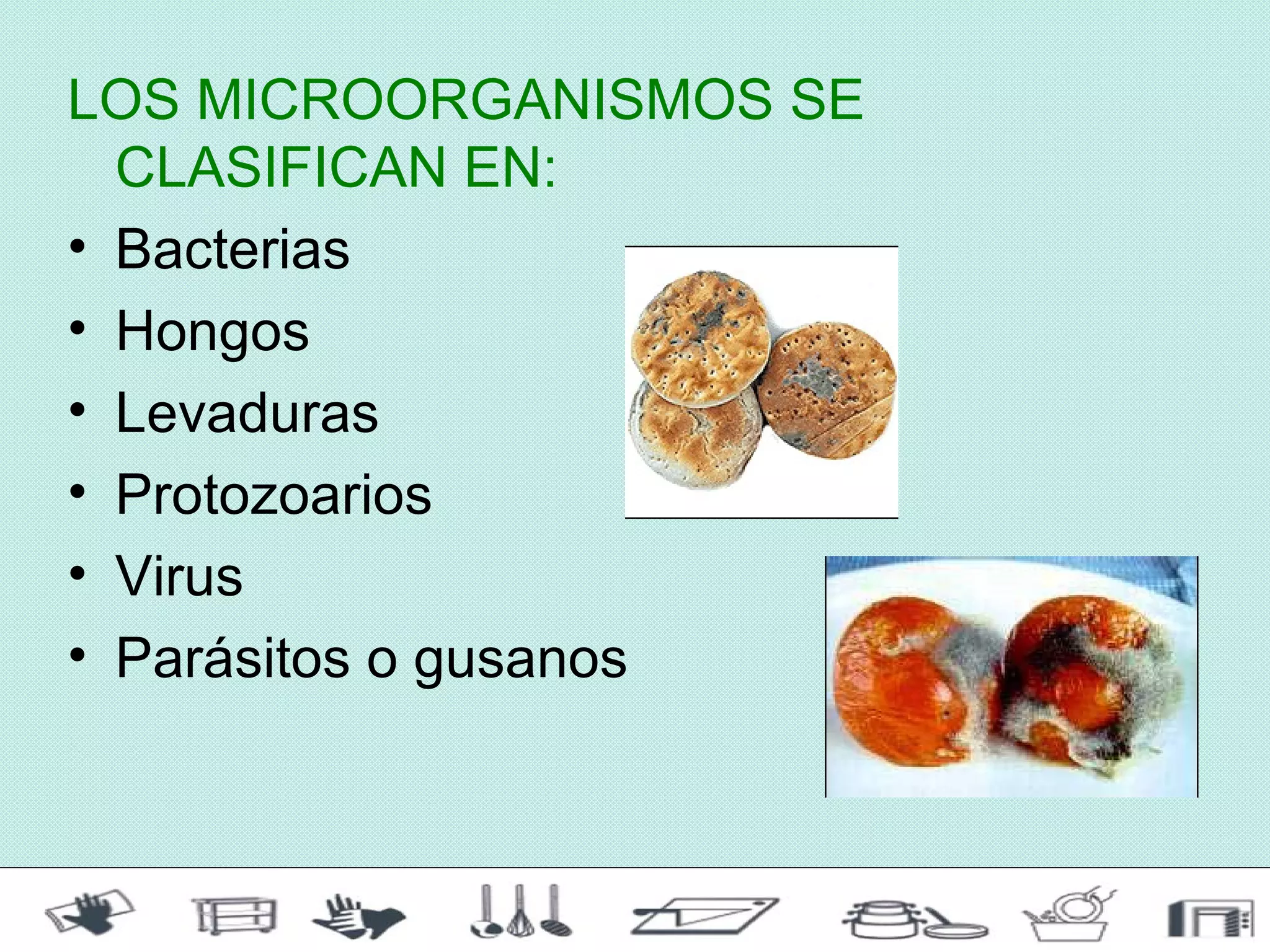 LOS MICROORGANISMOS SE
  CLASIFICAN EN:
• Bacterias
• Hongos
• Levaduras
• Protozoarios
• Virus
• Parásitos o gusanos
 