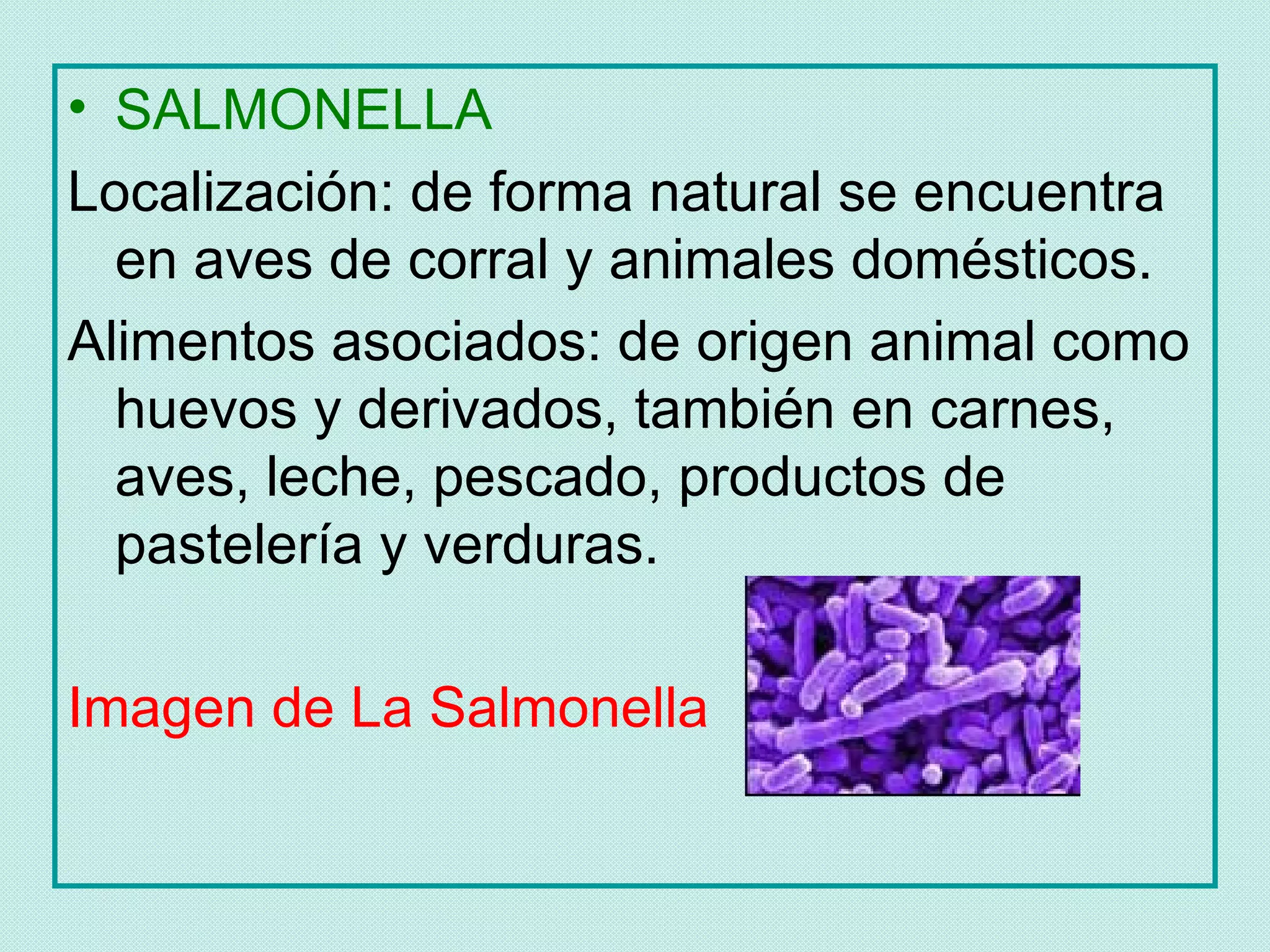 • SALMONELLA
Localización: de forma natural se encuentra
  en aves de corral y animales domésticos.
Alimentos asociados: de origen animal como
  huevos y derivados, también en carnes,
  aves, leche, pescado, productos de
  pastelería y verduras.

Imagen de La Salmonella
 