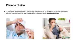 Periodo clínico
• Es cuando el ser vivo presenta síntomas o signos clínicos. El momento en el que aparece la
primera manifestación de la enfermedad es conocido como: Horizonte clínico.
 