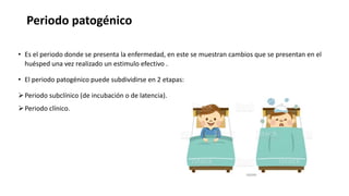 Periodo patogénico
• Es el periodo donde se presenta la enfermedad, en este se muestran cambios que se presentan en el
huésped una vez realizado un estimulo efectivo .
• El periodo patogénico puede subdividirse en 2 etapas:
Periodo subclínico (de incubación o de latencia).
Periodo clínico.
 