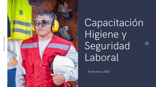 Capacitación
Higiene y
Seguridad
Laboral
25 de marzo 2023
HIGIENE
Y
SEGURIDAD
01
 