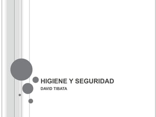 HIGIENE Y SEGURIDAD
DAVID TIBATA
 