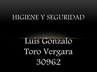 HIGIENE Y SEGURIDAD 
Luis Gonzalo 
Toro Vergara 
30962 
 