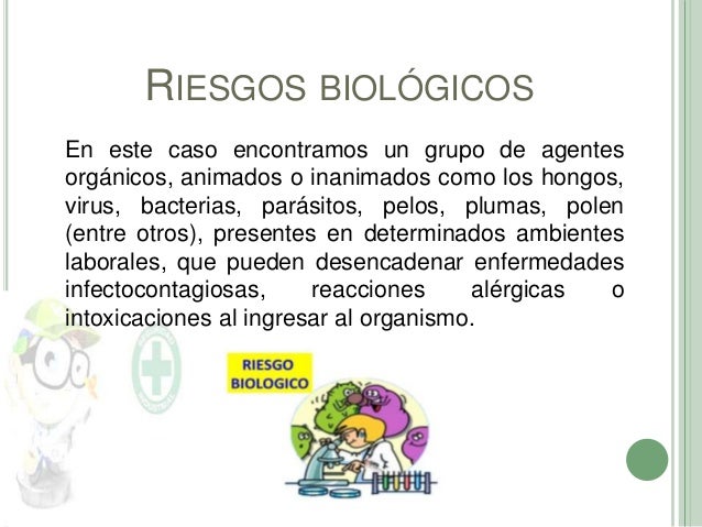 La utilidad de los parásitos simplísimos