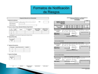 Formatos de Notificación
de Riesgos
 