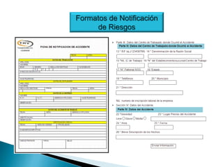 Formatos de Notificación
de Riesgos
 