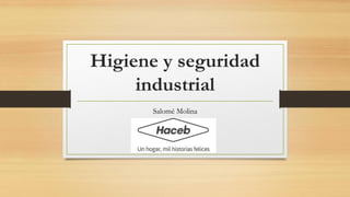 Higiene y seguridad
industrial
Salomé Molina
 