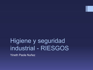 Higiene y seguridad
industrial - RIESGOS
Yineth Paola Nuñez
 