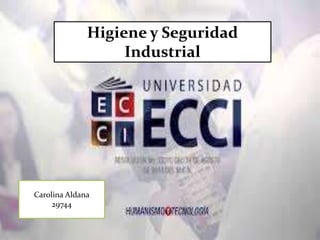 Higiene y Seguridad 
Industrial 
Carolina Aldana 
29744 
 