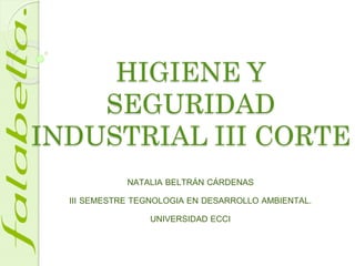 HIGIENE Y
SEGURIDAD
INDUSTRIAL III CORTE
NATALIA BELTRÁN CÁRDENAS
III SEMESTRE TEGNOLOGIA EN DESARROLLO AMBIENTAL.
UNIVERSIDAD ECCI
 