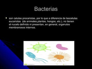 BBaacctteerriiaass 
 ssoonn cceelluullaass pprrooccaarriioottaass,, ppoorr lloo qquuee aa ddiiffeerreenncciiaa ddee llaasscceelluullaass 
eeuuccaarriioottaass ((ddee aanniimmaalleess,,ppllaannttaass,, hhoonnggooss,, eettcc..)),, nnoo ttiieenneenn 
eell nnuucceelloo ddeeffiinniiddoo nnii pprreesseennttaann,, eenn ggeenneerraall,, oorrggaannuullooss 
mmeemmbbrraannoossooss iinntteerrnnooss.. 
 